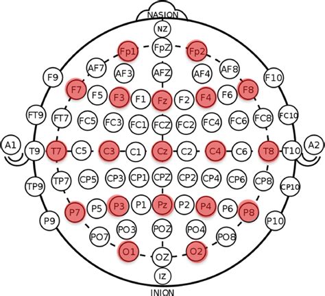 porn eeg